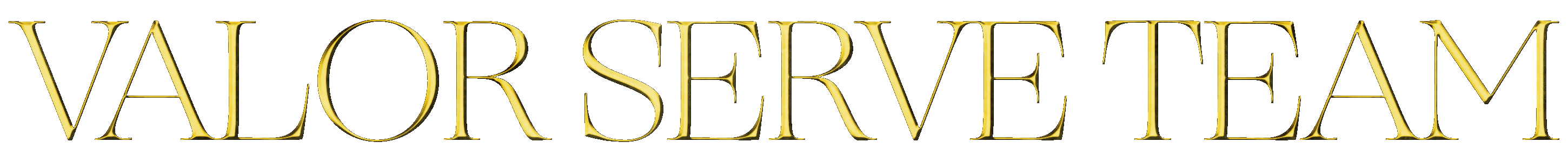 ValorServeTeam