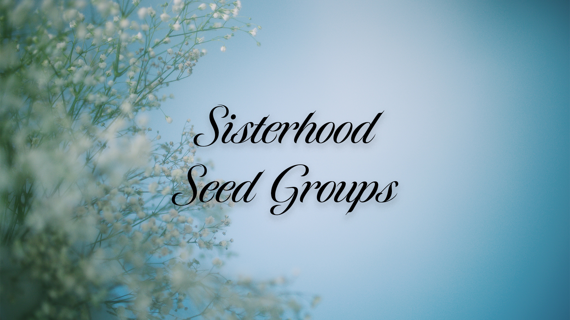 SeedGroupSquare